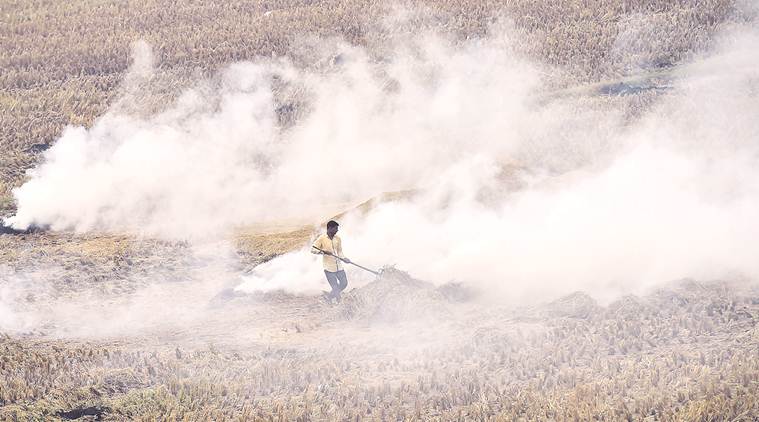 punjab stubble burning, punjab farmers, stubble burning in punjab, punjab news, latest news
