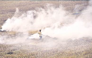 Delhi pollution, Paddy stubble burning Delhi, Delhi EPCA paddy stubble burning, delhi city news