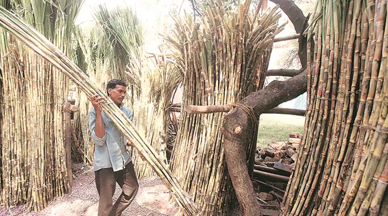 Maharashtra: Permission pending, 15 sugar mills unable to start ethanol production
