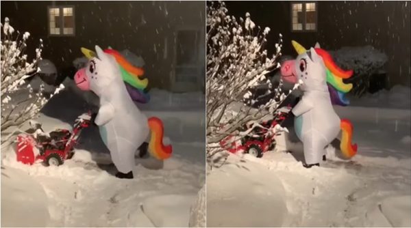 new york snowstorm, winter snow clearing videos, funny snow cleaning videos, funny inflatable videos, indian express, viral news