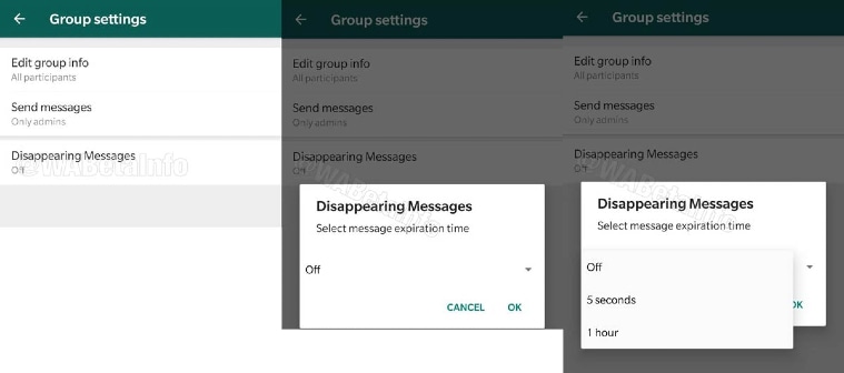 WhatsApp self destructive message