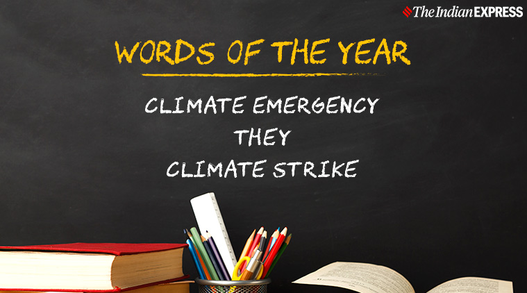 words of the year, oxford word of the year, words of the year, 2010 cambridge dictionary words of the year, indian express, indian express news