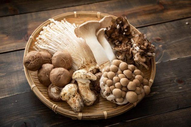 Types of mushrooms, edible mushrooms, 13 types of mushrooms that are edible