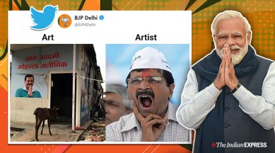 The latest 'art and artist' meme template even has the BJP using it to  target AAP | Trending News,The Indian Express