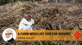 Move to cash transfers will lead to savings, put agriculture on sustainable growth path