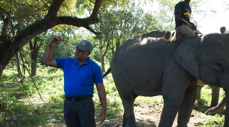 Assams elephant doctor awarded Padma Shri This land belongs to the elephants North East India News,The Indian Express