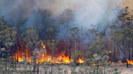 australia bushfire, australia wildfire, climate chnage, cla=imate change causing australia wildfire, australian news, world news, indian express news