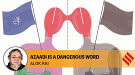 Citizenship Amendment Act, CAA, CAA protests, NRC, NPR, CAA NRC, Citizenship Act, India news, National Register of Citizens protests, Mohan Bhagwat, indian express