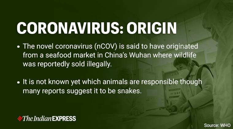 coronavirus origin