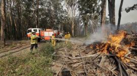 Australia bushfires, Australia forest fire, Australia wildfires, Australia bushfires death toll, New SOuth Wales bushfires, Australia news, world news