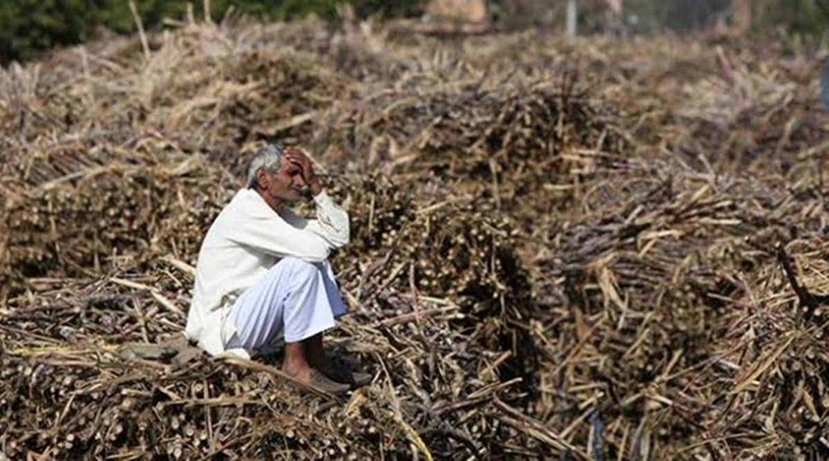 141 farmers have committed suicide over 10month period till Feb 1