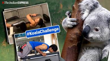 Australian bushfire, Australian, Australian bushfire, Australian, #KoalaChallenge, Australian bushfire, Trending Indian Express news,