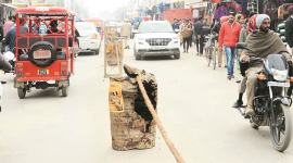 Maghi mela, Akali Dal, SAD, Parkash Singh Badal, Amritsar, Punjab, Punjab Latest News, Ludhiana, Jagmeet Singh Jagga, AAP MLAHarpal Singh Cheema, Indian Express