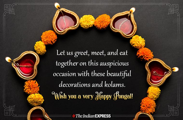 happy pongal, happy pongal 2020, pongal, pongal 2020, happy pongal images, happy pongal images 2020, happy pongal 2020 status, happy pongal wishes images, pongal images, pongal wishes images, pongal quotes, happy pongal quotes, happy pongal wishes quotes, happy pongal wallpaper, happy pongal video, happy pongal pics, happy pongal photos, happy pongal messages, happy pongal sms, happy pongal wishes sms, hapy pongal wishes messages, happy pongal status video, happy pongal wishes status, pongal wishes