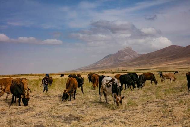 Tourist destinations of 2020, Places to visist in 2020, vacation places, Washington DC, Colaradop springs, Mexico, Spain, Virgin British islands, Tajikistan, Tokyo, China, mongolia, Malasia, kuala Lampur,New york, Japan, Cheap places to visit, Affordabke vacation destinations, cheap vacations, faily vacation destinations, places to visit with boyfriend, placs to visit with your girlfriend, romantic places in the world, global destinations, popular destinations,
