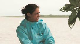 Upma Bhatnagar documentary on lions of Gir, Gir National Park, Gir National Park lion deaths, virus killed lions of gir, indian express news