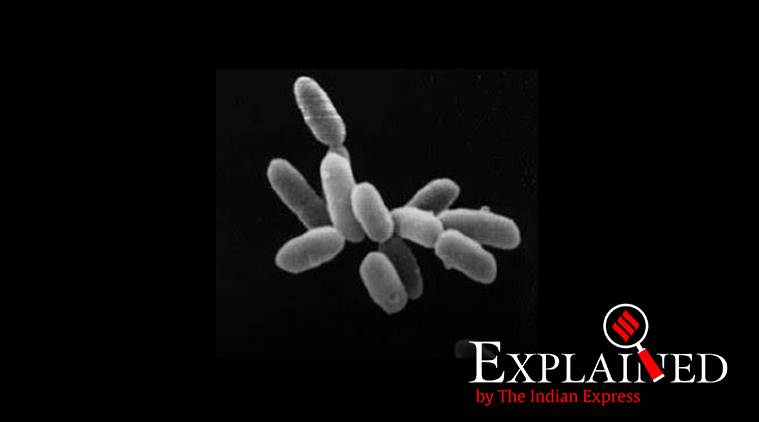 Explained: What is Archaea? | Explained News - The Indian Express