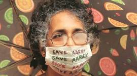 Aarey, aarey protests, aarey sc hearing, aarey tree cutting, aarey car shed, aarey tree felling, mumbai aarey colony, bmc, shiv sena, bjp