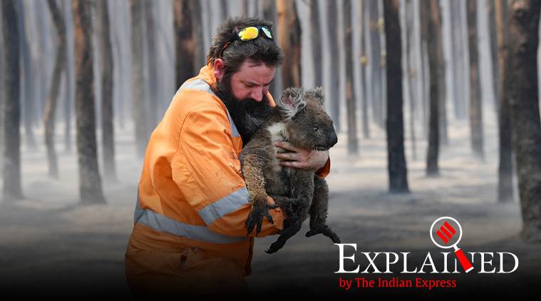 Explained: Reading Australia fire signals