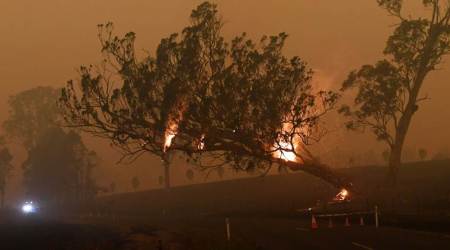 australia weather, australia bushfires, australia climate change, latest news, world news