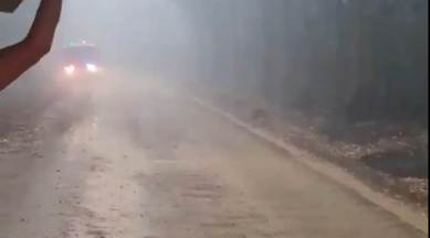 australia bushfire, australia fire, australia bushfire update, australia update