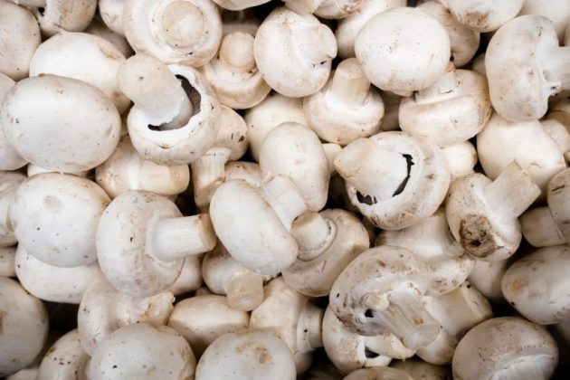 Types of mushrooms, edible mushrooms, 13 types of mushrooms that are edible