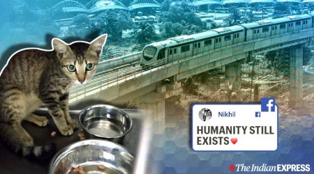 Cat rescued from metro Piller, Cat rescue mission, Kochi metro, Kerala news, Trending, Indian Express news.