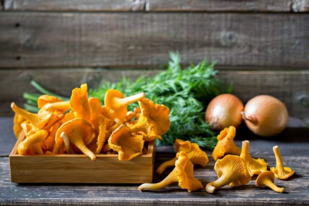 Types of mushrooms, edible mushrooms, 13 types of mushrooms that are edible