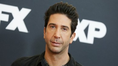 david schwimmer