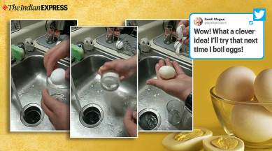 Gadget Makes Peeling Eggs a Tad Easier - The New York Times