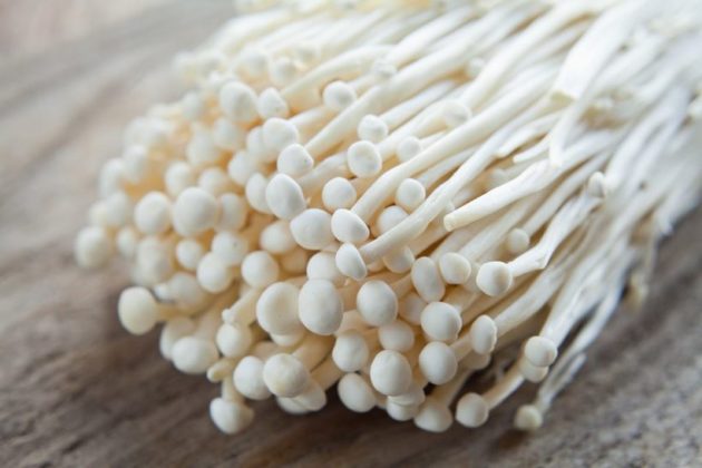 Types of mushrooms, edible mushrooms, 13 types of mushrooms that are edible
