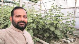 Yussouf Khan, National Bank for Agriculture and Rural Development, CSK Himachal Pradesh Agricultural University, Una farmers, indian express