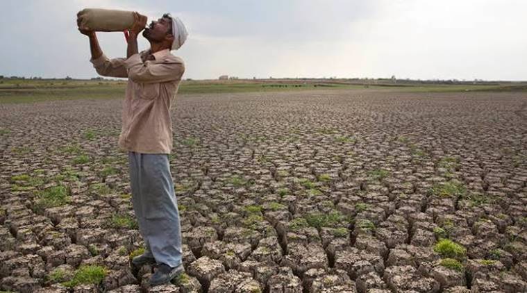 Maharashtra Vidarbha Records 448 Pc Drop In Farmer Suicides From Last Year City Others News 6448