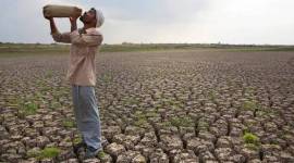 Bureaucrat suspended after probe finds farm loan waiver link tampered with