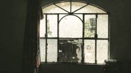 rural economy, farmer incomes, agricultural exports, agricultural sector, india farmers, farmers exports, indian express