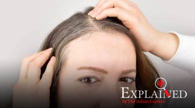 stress turns hair grey, Harvard University researchers, what causes grey hair, solution to grey hair, indian express explained, indian express news