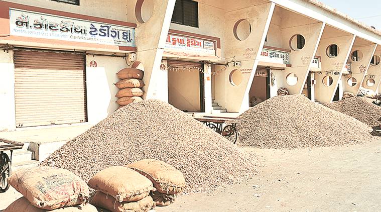 coronavirus impact on seed industry, india lockdown impact on seed industry, covid 19 impact on business, coronavirus on india economy, indian express