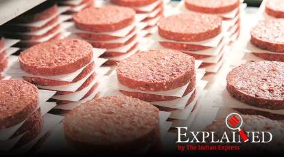 Alternative Meat Next Meat's Now Available In Meat Section Of