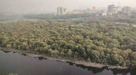 BMC, Mumbai municipal commissioner, Iqbal Singh Chahal, Mithi river, Mumbai news, Indian express news