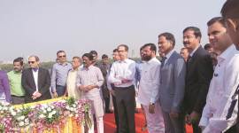 Flamingos near construction site, adapted to MTHL work: CM