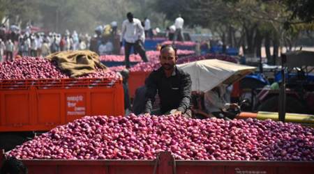 onion prices. india onion prices, onion export, india govt onion expert, indian express
