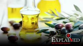 palm oil, india malaysia ties, palm oil import, palm oil trade, india malaysia trade, indian express news