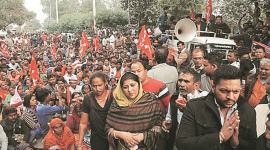 Chandigarh city, Chandigarh, Chandigarh news, Chandigarh city news, Panchkula city, Panchkula , Panchkula news, Panchkula city news, street vendors, street vendors Panchkula , indian express