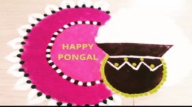 pongal, pogal 2020 kolam designs, pongal 2020 celebrations, pongal indian express