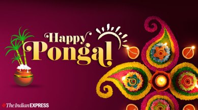 Happy Pongal Images 2020: Whatsapp Wishes, Images, Status, HD Wallpapers,  Quotes, Messages, GIF Pics Download in Tamil, Telugu