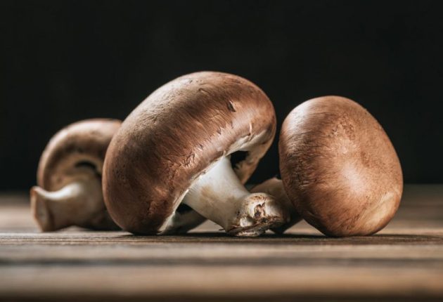 Types of mushrooms, edible mushrooms, 13 types of mushrooms that are edible