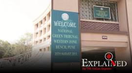 pune news, pune city news, maharashtra news, NGT pune, indian express news