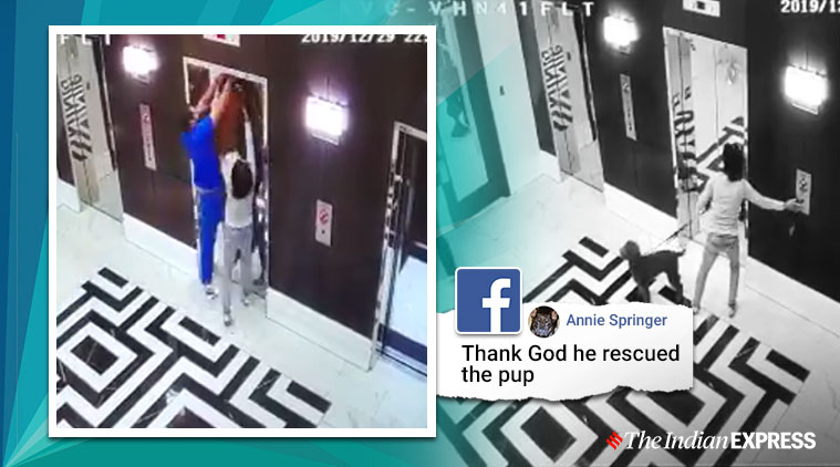 doctor saves dog, dog saved elevator, man saves dog leash caught elevator, viral news, viral videos, dog leash caught in elevator, indian express