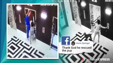doctor saves dog, dog saved elevator, man saves dog leash caught elevator, viral news, viral videos, dog leash caught in elevator, indian express