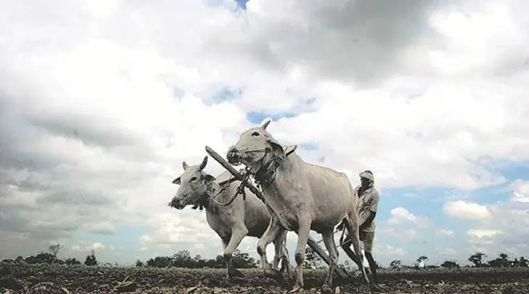 rural poverty, agriculture price, rural wages, rural economy, farmer incomes, agricultural exports, agricultural sector, india farmers, ease of living, Indian economy, agrarian crisis, indian express